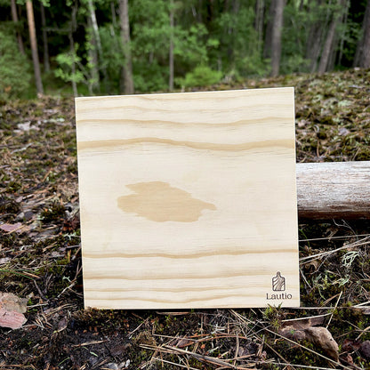Lautio Accoya cutting board 195 × 195 mm